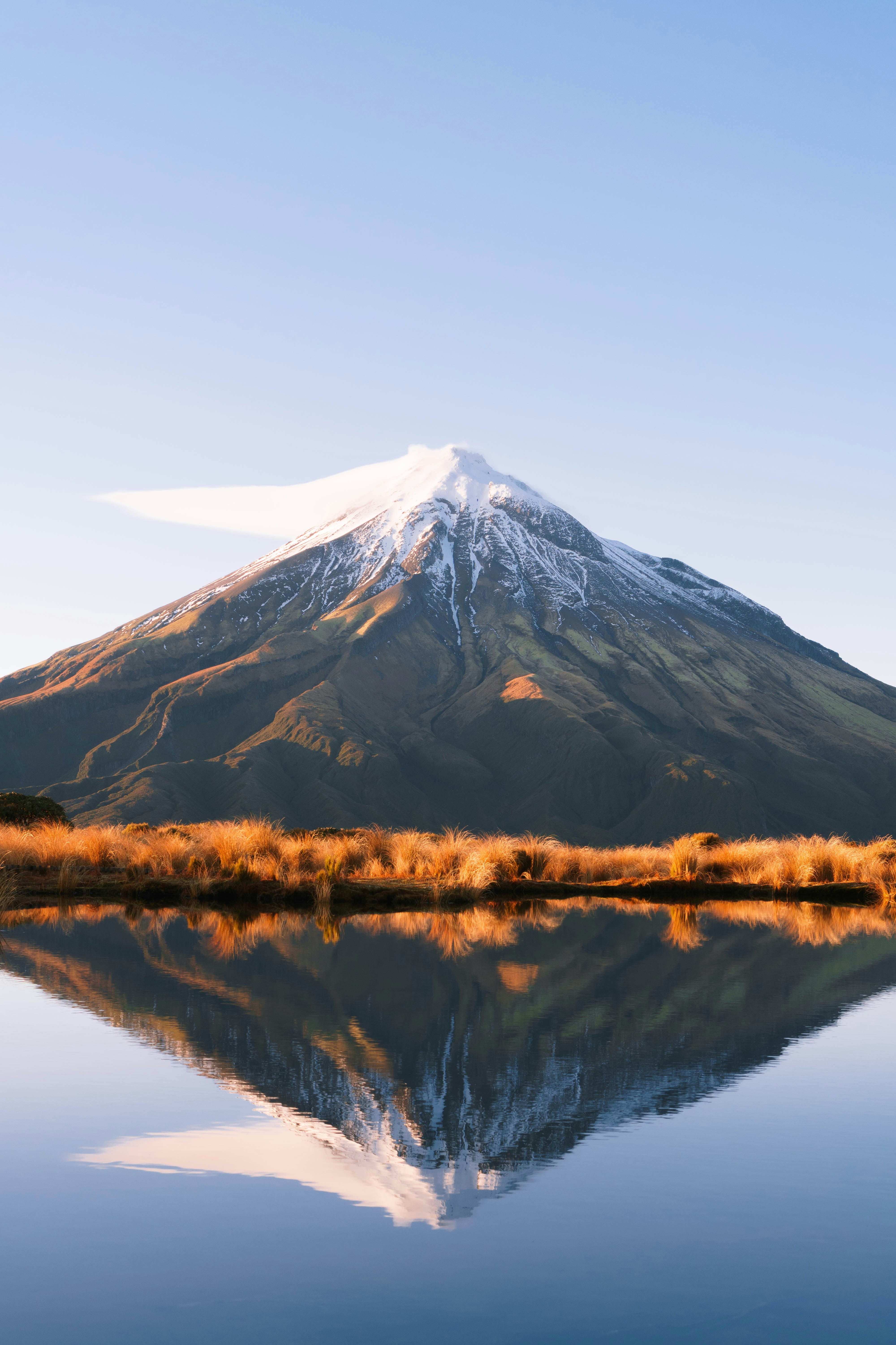 New Zealand landscape